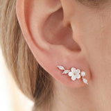 Piercing Foglia
