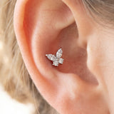 Piercing Farfalla