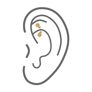 Rook Piercing