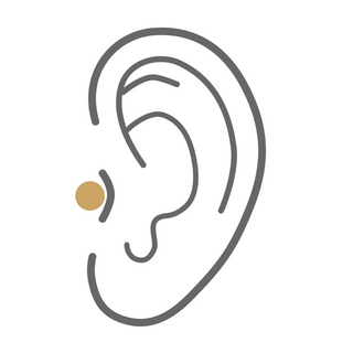 Tragus Piercing