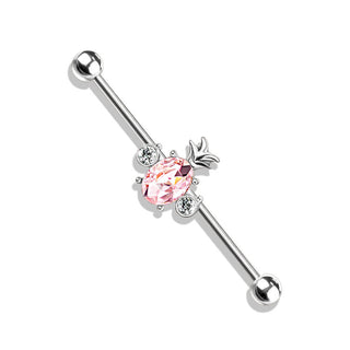 Barbell Industrial Zircone ad Ananas