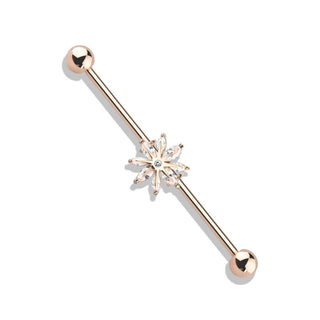 Barbell Industrial Fiocco di neve in zircone