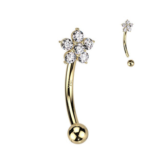 Oro 14 kt Piercing Sopracciglio Fiore di zirconi