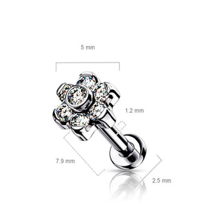 Titanio Labret Fiore di Zirconi e Argento Push-In
