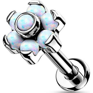 Titanio Labret Fiore di Opali e Argento Push-In