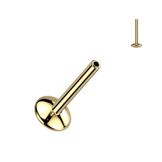 Titanio base labret 4 mm Push-In