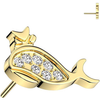 Titanio Superiore balena zirconi Push-In