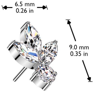 Titanio Foglia zirconi Push-In