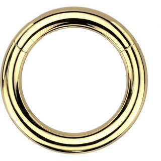Anello Piercing Grosso Segment