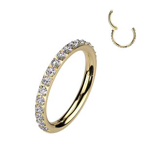 Titanio Anello Piercing Zirconi Segment