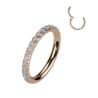 Titanio Anello Piercing Zirconi Segment