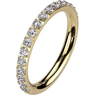 Titanio Anello Piercing Zirconi Segment