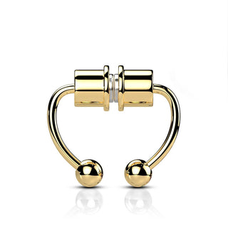 Finto al Naso Chiusura a magneti per setto  Calamita