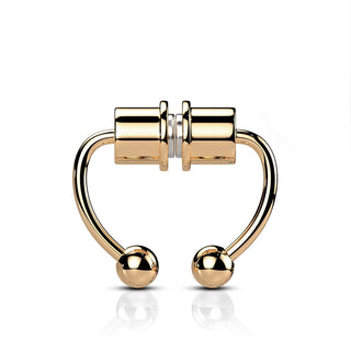 Finto al Naso Chiusura a magneti per setto  Calamita