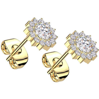 Titanio Fiore zirconi