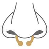 Piercing Septum