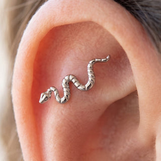 Snake Piercings – selection on linen