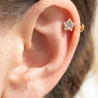 Star Helix Piercings – selection on linen