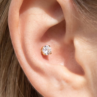 Conch Piercing Studs – selection on linen