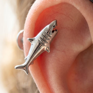 Titanium Helix Piercing – selection on linen