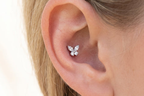 Piercing Conch Farfalla