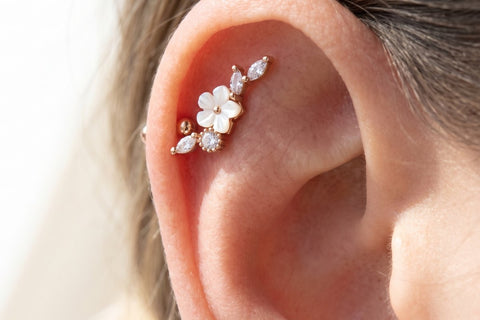 Piercing Foglia