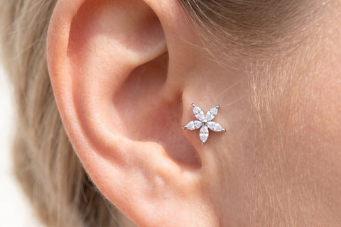 Piercing Fiore