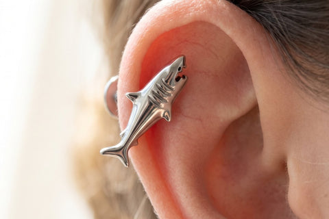 Piercing helix titanio