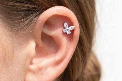 Piercing Helix Farfalla