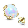 Oro 14 kt Superiore in opale