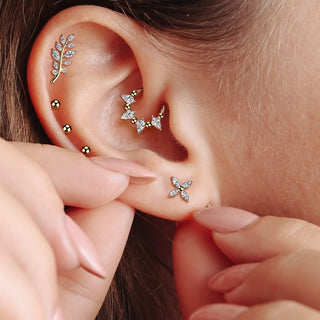 Titanium Earring marquise cubic zirconia flower Push-In