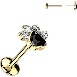 Titanium Labret paw zirconia Push-In