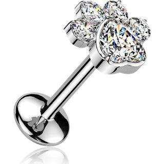 Titanium Labret paw zirconia Push-In