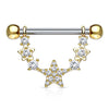 Piercing Capezzolo Pendente con stelle di zirconi