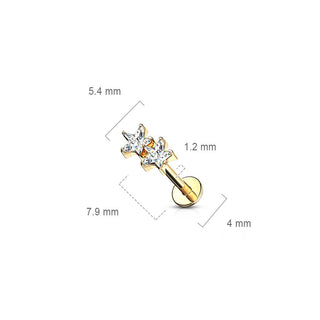 Labret Zirconi a stella Filettatura Interna