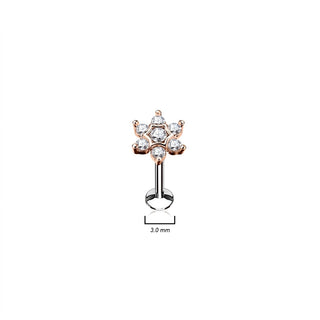 Labret Flower Zirconia Internally Threaded