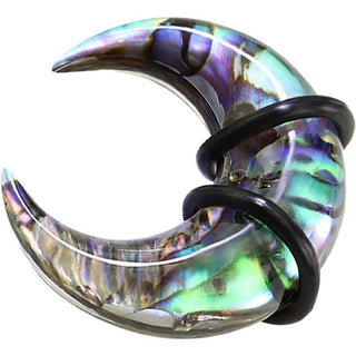Abalone e anelli di silicone