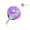 Titanium Top Top Opal Ball Push-In