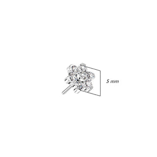 Titanium Top Top Flower Zirconia Silver Push-In