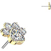 Titanium Top top paw zirconia Push-In