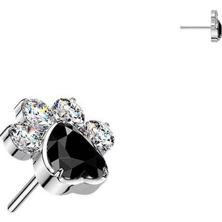 Titanium Top top paw zirconia Push-In