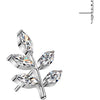 Titanium Top top leaf zirconia Push-In
