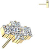 Titanium Top top squares zirconia Push-In