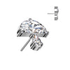 Titanium Top Top Mushroom Zirconia Push-In