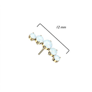 Titanium top 5 round opals Push-In