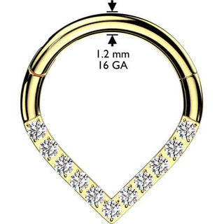 Ring chevron zirconia Segment