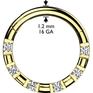 Ring 6 zirconias Segment