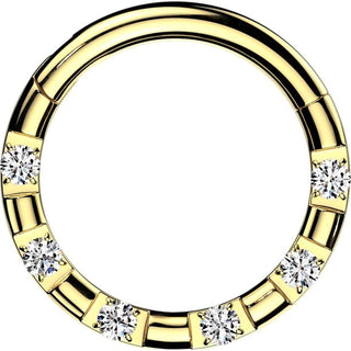 Ring 6 zirconias Segment