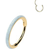 Ring opal Segment
