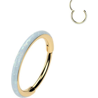 Ring opal Segment